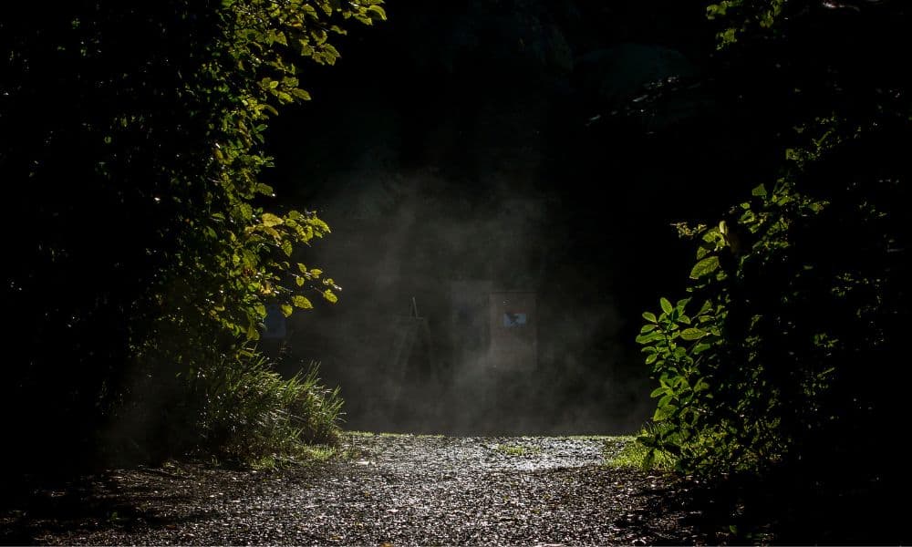 Zealandia Night Tour - image 2